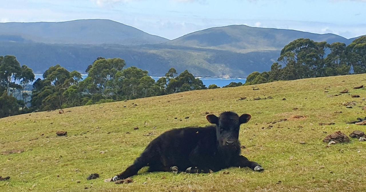 Ruby'S Cottage Farm Stay Port Arthur Dış mekan fotoğraf