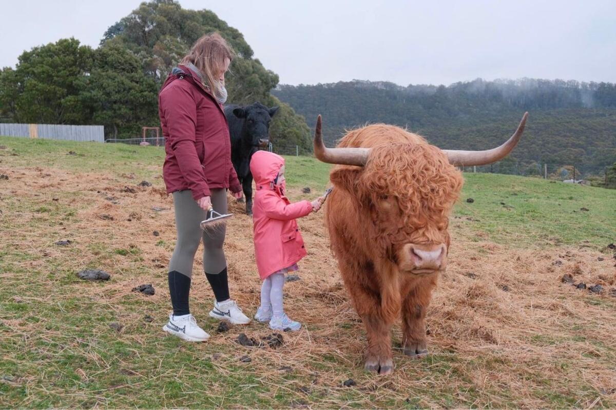 Ruby'S Cottage Farm Stay Port Arthur Dış mekan fotoğraf